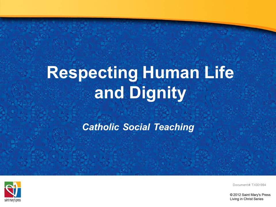 Respecting Human Life And Dignity Catholic Social Teaching 1 Respecting Human Life And Dignity Catholic Social Teaching Doent Tx001994