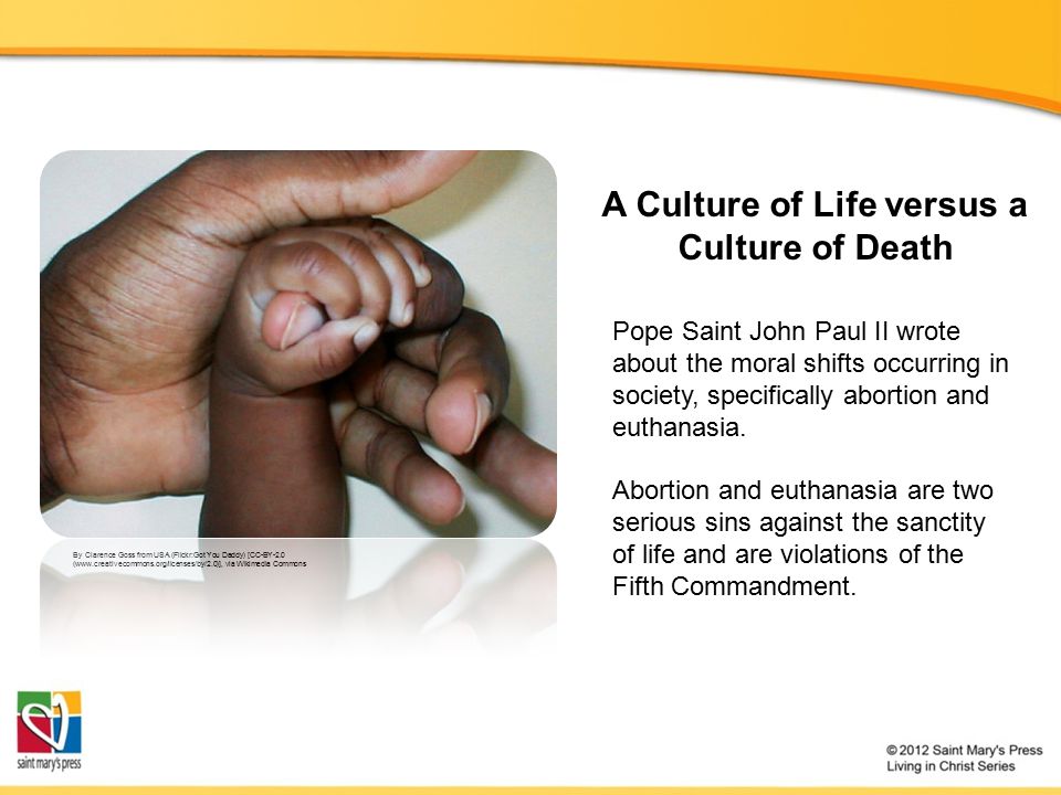 Respecting Human Life And Dignity Catholic Social Teaching Catholic Social Teaching Doent Tx001994 2 A