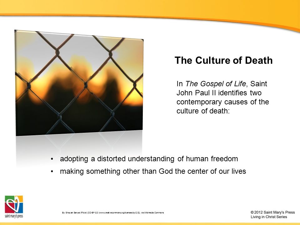 Respecting Human Life And Dignity Catholic Social Teaching 3 In