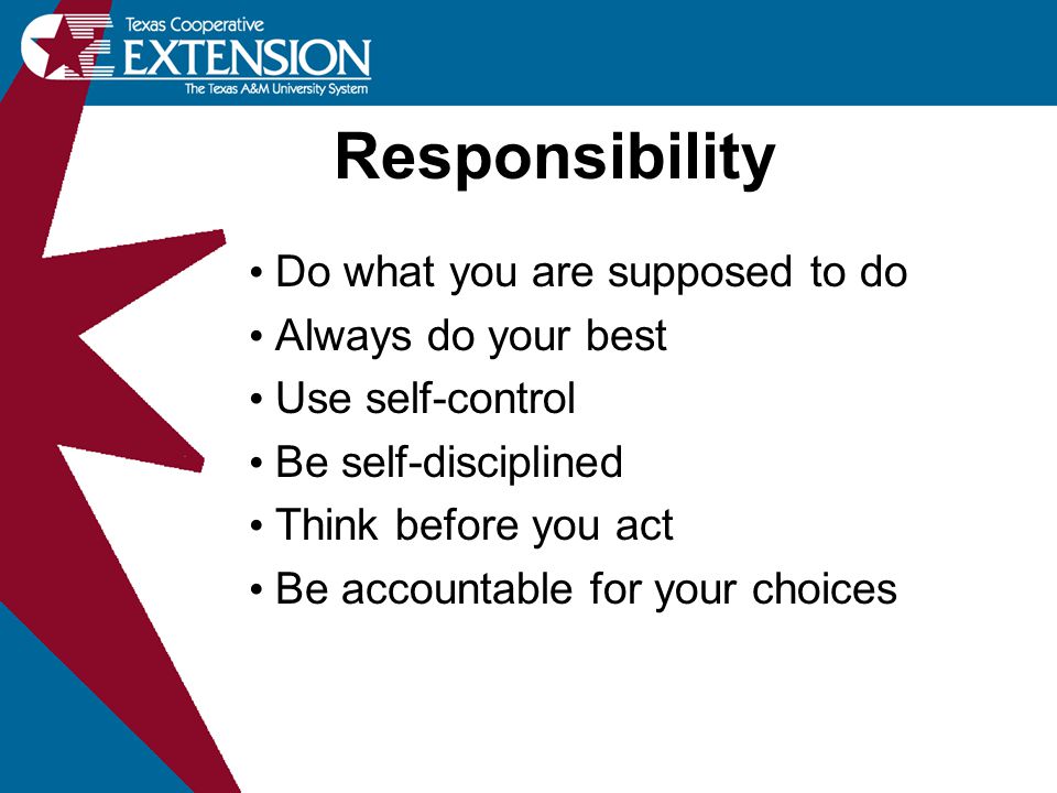 Responsibility Do what you are supposed to do Always do your best Use self-control Be self-disciplined Think before you act Be accountable for your choices