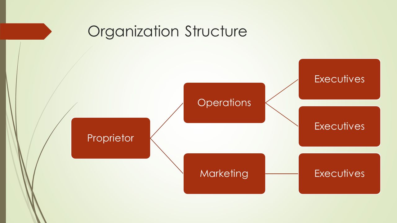 Organization Structure Proprietor OperationsExecutives MarketingExecutives