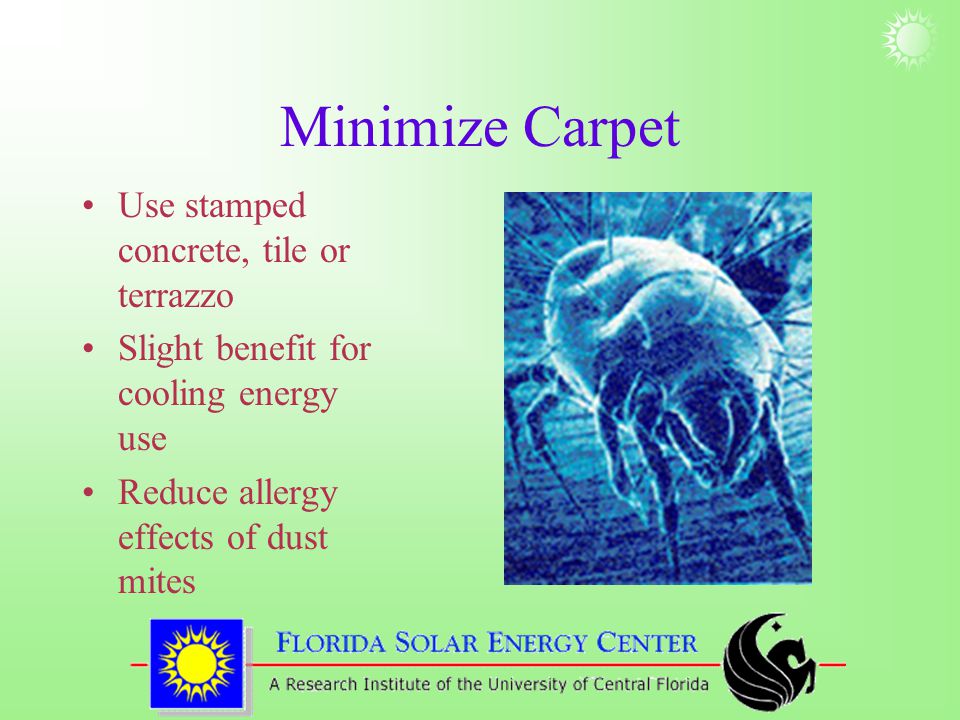 Minimize Carpet Use stamped concrete, tile or terrazzo Slight benefit for cooling energy use Reduce allergy effects of dust mites