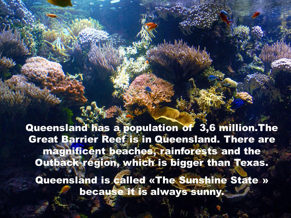 Queensland has a population of 3,6 million.The Great Barrier Reef is in Queensland.