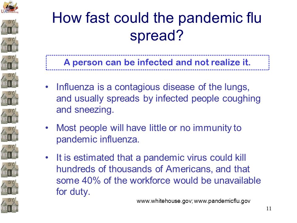 11 How fast could the pandemic flu spread.