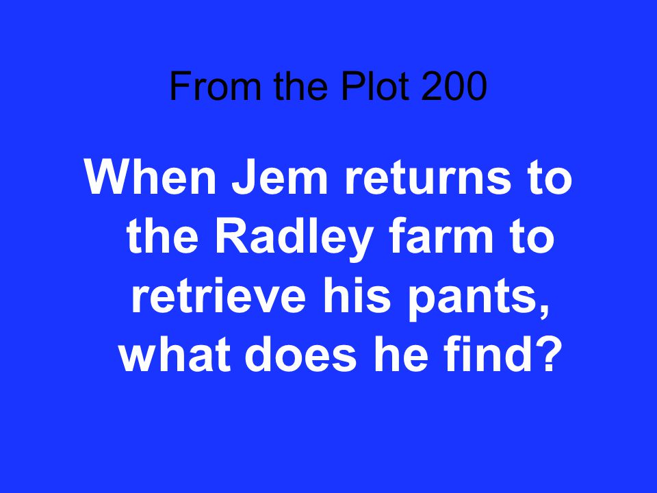 From the Plot 100 Describe Boo Radley.