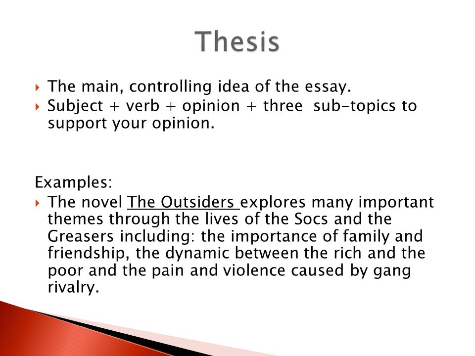 Opinion statements essay