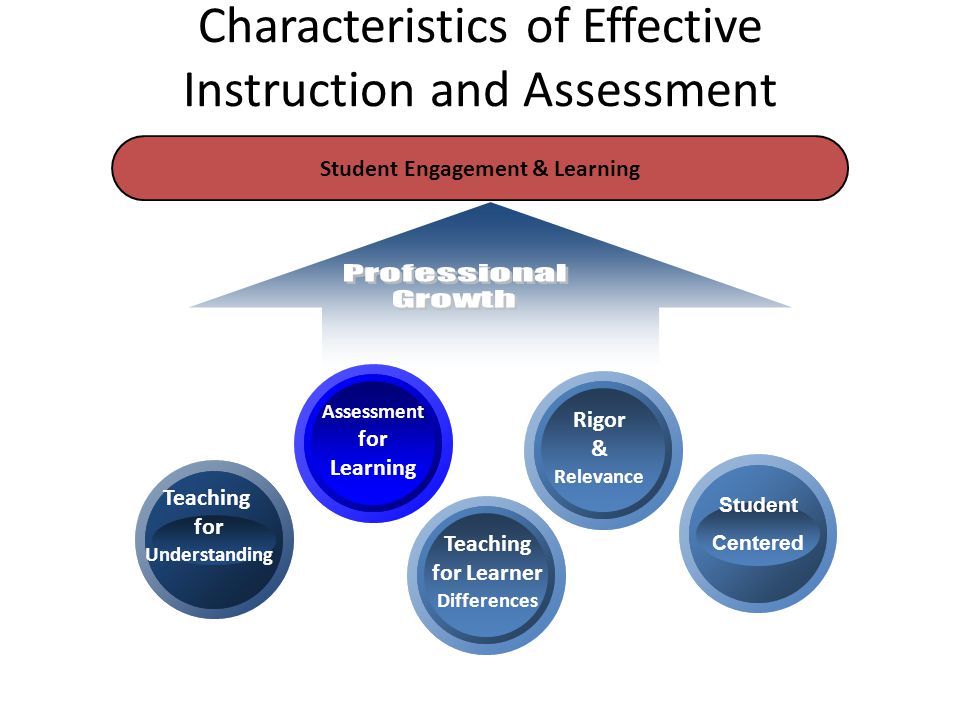 16 Student Engagement & Learning Rigor & Relevance Assessment for Learning Student- Centered Classroom Teaching for Understanding Teaching for Learner Differences Student Centered Characteristics of Effective Instruction and Assessment