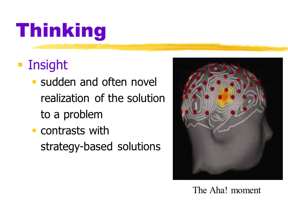 Critical Thinking 9Th Edition