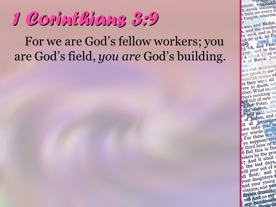 1 Corinthians 3:9 For we are God’s fellow workers; you are God’s field, you are God’s building.