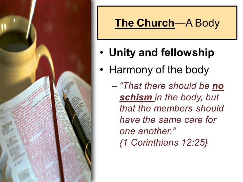 The Church—A Body Unity and fellowship Harmony of the body – That there should be no schism in the body, but that the members should have the same care for one another. {1 Corinthians 12:25}