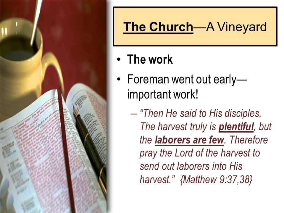 The Church—A Vineyard The work Foreman went out early— important work.