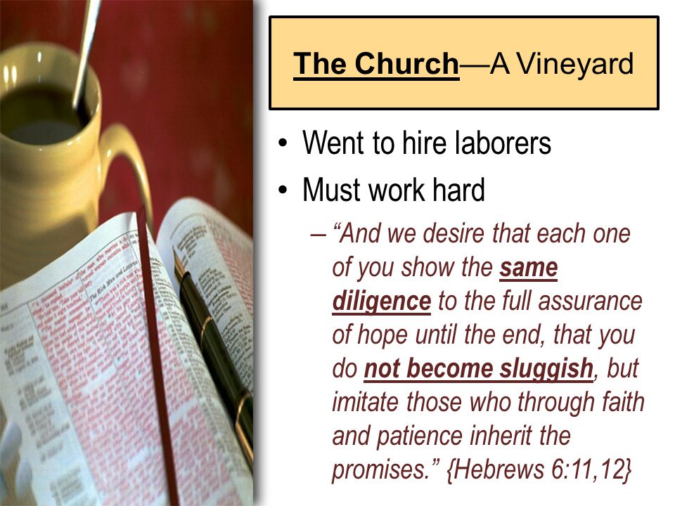 The Church—A Vineyard Went to hire laborers Must work hard – And we desire that each one of you show the same diligence to the full assurance of hope until the end, that you do not become sluggish, but imitate those who through faith and patience inherit the promises. {Hebrews 6:11,12}