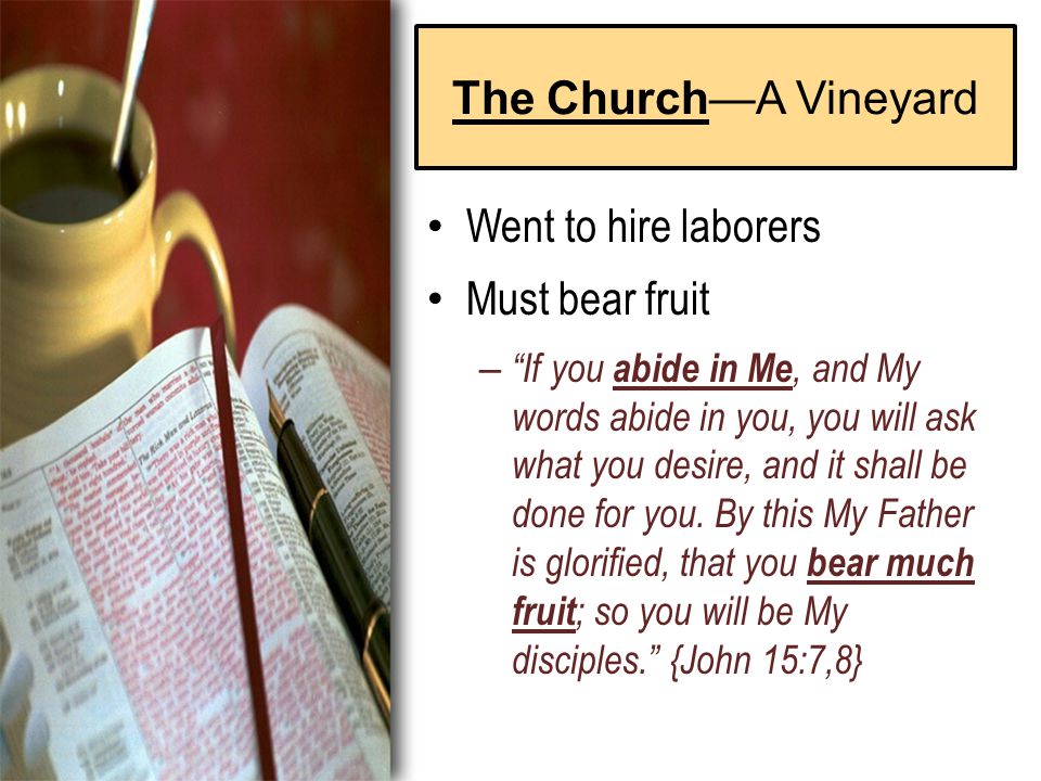 The Church—A Vineyard Went to hire laborers Must bear fruit – If you abide in Me, and My words abide in you, you will ask what you desire, and it shall be done for you.