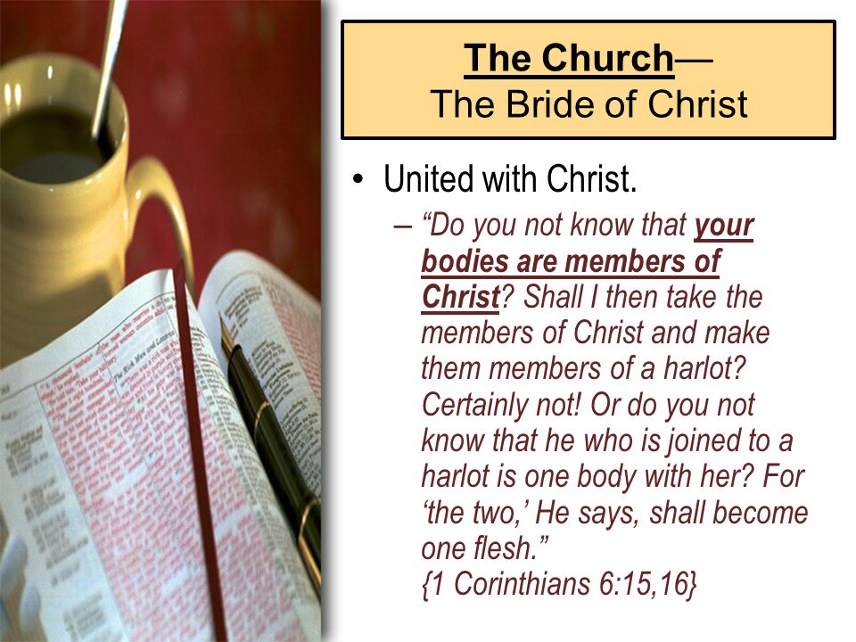 The Church— The Bride of Christ United with Christ.