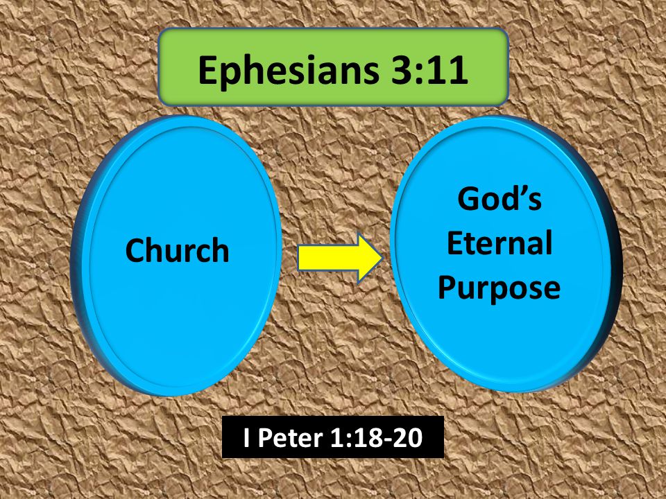Church God’s Eternal Purpose Ephesians 3:11 I Peter 1:18-20