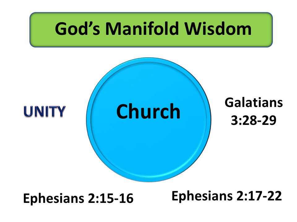 God’s Manifold Wisdom Ephesians 2:15-16 Ephesians 2:17-22 Galatians 3:28-29