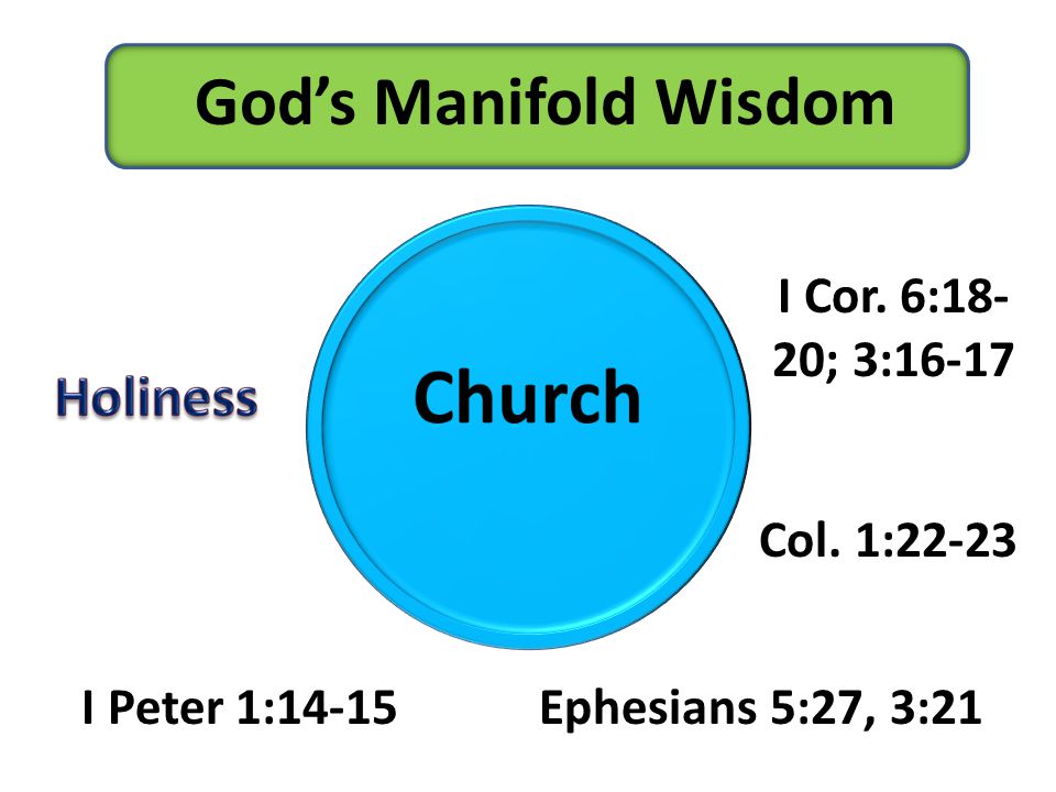 God’s Manifold Wisdom I Peter 1:14-15Ephesians 5:27, 3:21 I Cor. 6:18- 20; 3:16-17 Col. 1:22-23