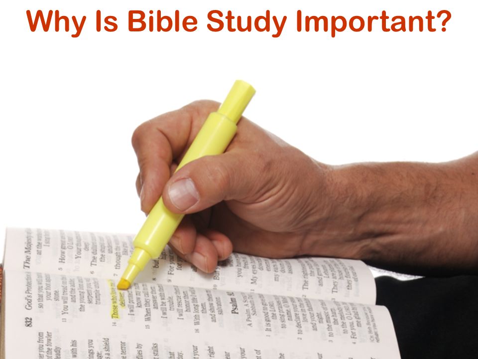 Why Is Bible Study Important