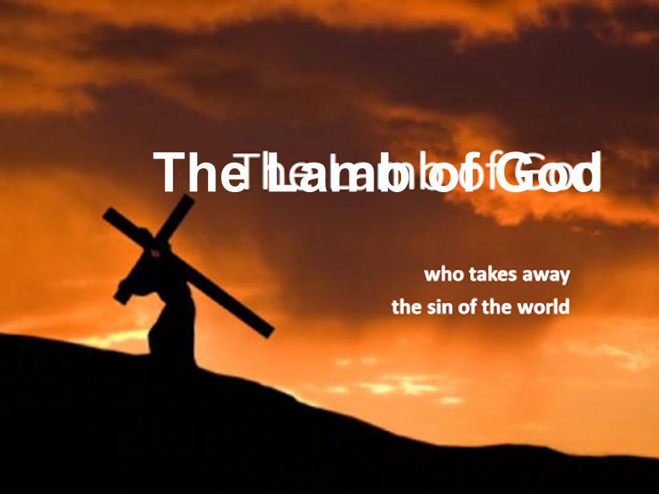 The Lamb of God who takes away the sin of the world