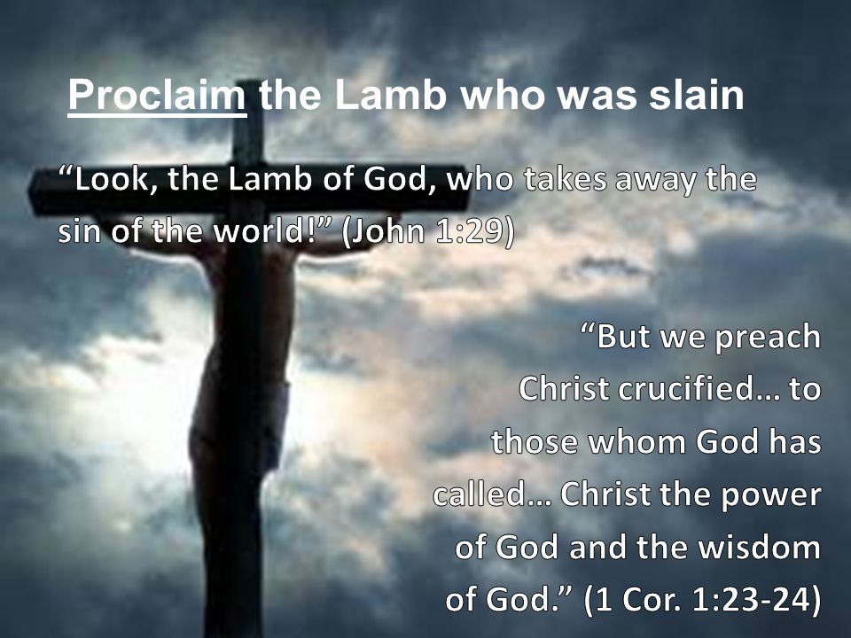 Proclaim the Lamb who was slain