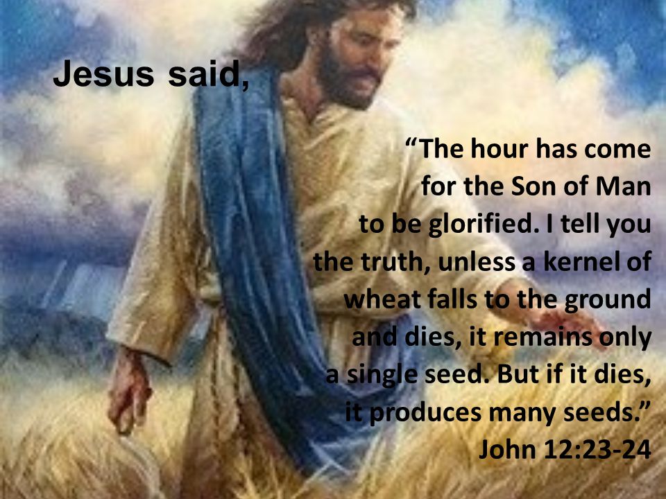 Jesus said, The hour has come for the Son of Man to be glorified.