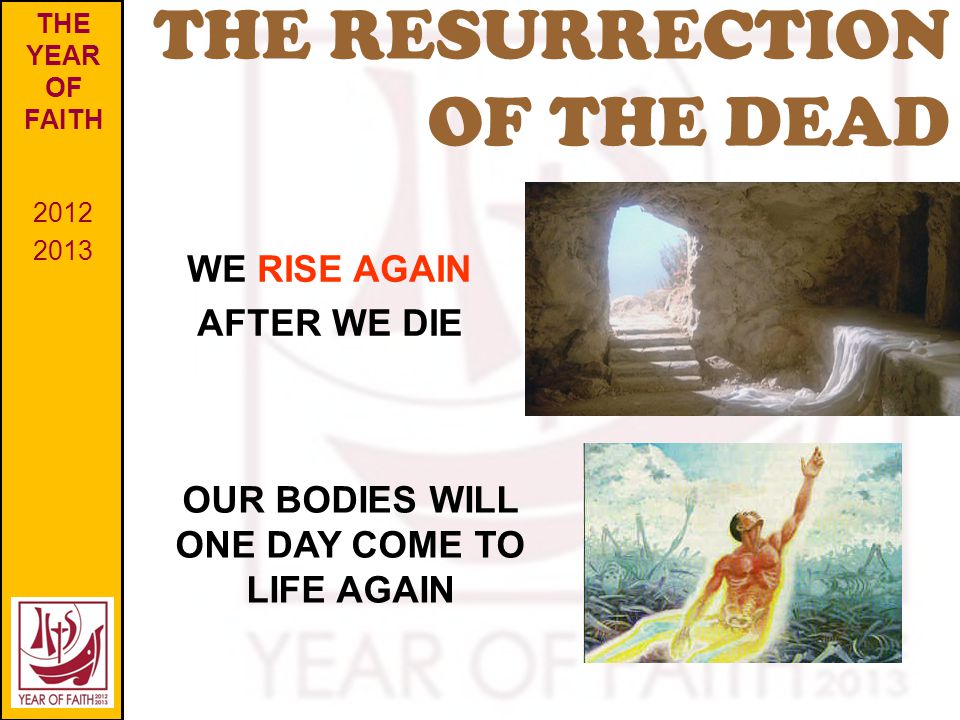 THE RESURRECTION OF THE DEAD THE YEAR OF FAITH WE RISE AGAIN AFTER WE DIE OUR BODIES WILL ONE DAY COME TO LIFE AGAIN