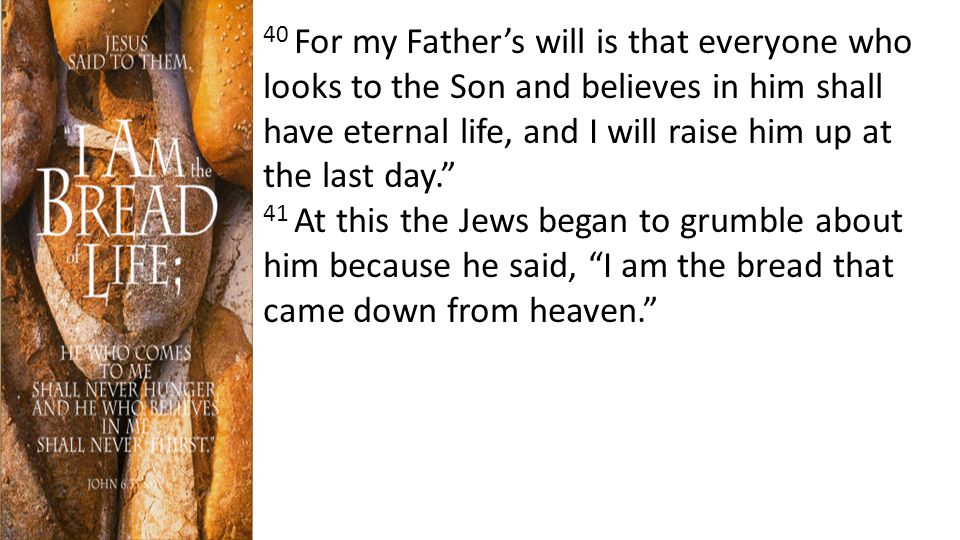 40 For my Father’s will is that everyone who looks to the Son and believes in him shall have eternal life, and I will raise him up at the last day. 41 At this the Jews began to grumble about him because he said, I am the bread that came down from heaven.