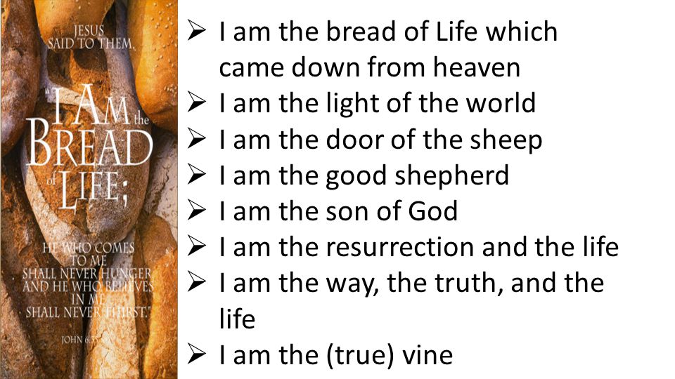  I am the bread of Life which came down from heaven  I am the light of the world  I am the door of the sheep  I am the good shepherd  I am the son of God  I am the resurrection and the life  I am the way, the truth, and the life  I am the (true) vine