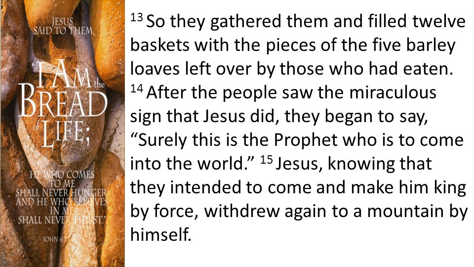 13 So they gathered them and filled twelve baskets with the pieces of the five barley loaves left over by those who had eaten.