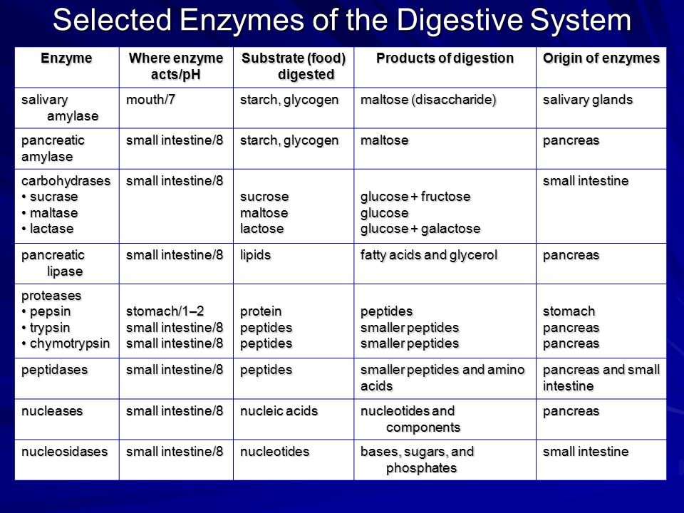 salivary amylase lab report Hydrolysis of starch by salivary amylase digestion of starch normally begins in the mouth of humans where an enzyme, salivary amylase, is secreted, catalyzing the break up of the starch by hydrolysis. salivary amylase lab report Hydrolysis of starch by salivary amylase digestion of starch normally begins in the mouth of humans where an enzyme, salivary amylase, is secreted, catalyzing the break up of the starch by hydrolysis.