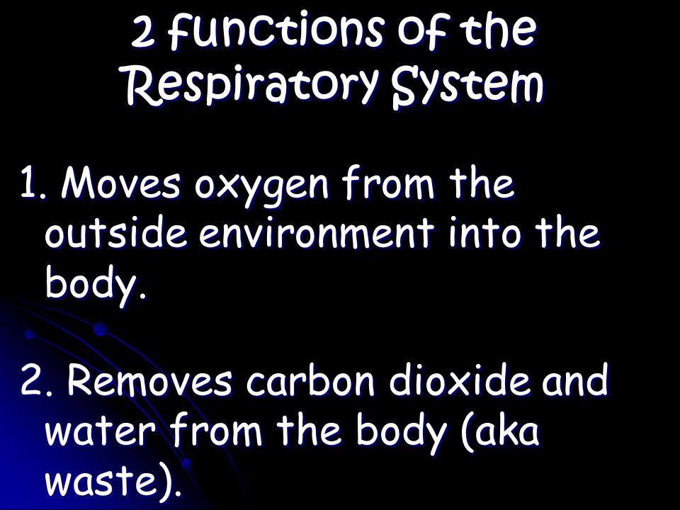 2 functions of the Respiratory System 1. Moves oxygen from the outside environment into the body.