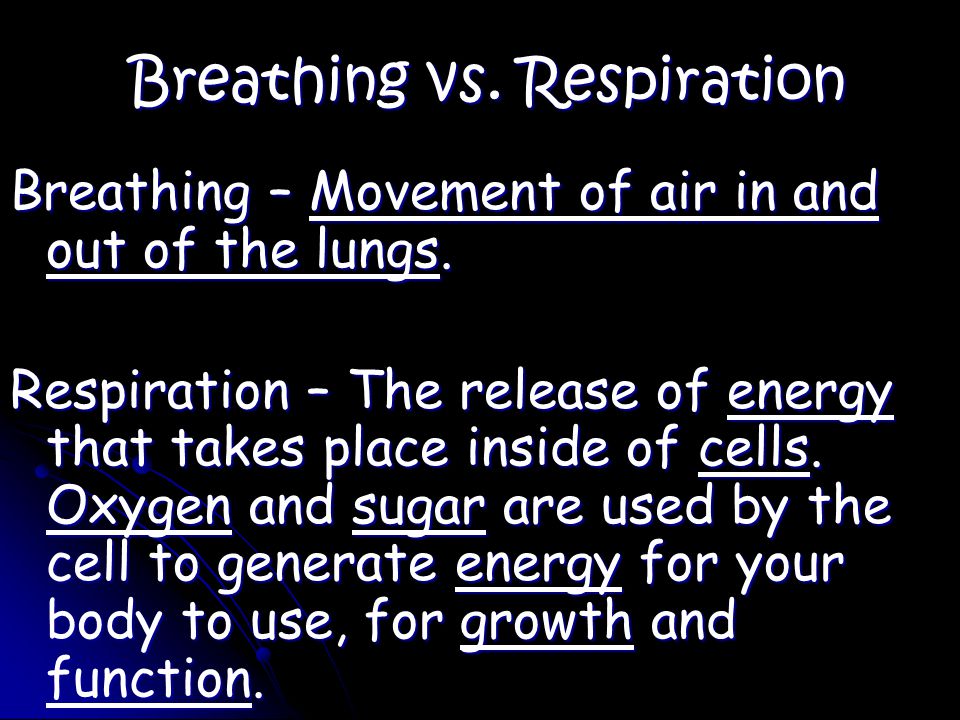 Breathing vs. Respiration Breathing – Movement of air in and out of the lungs.