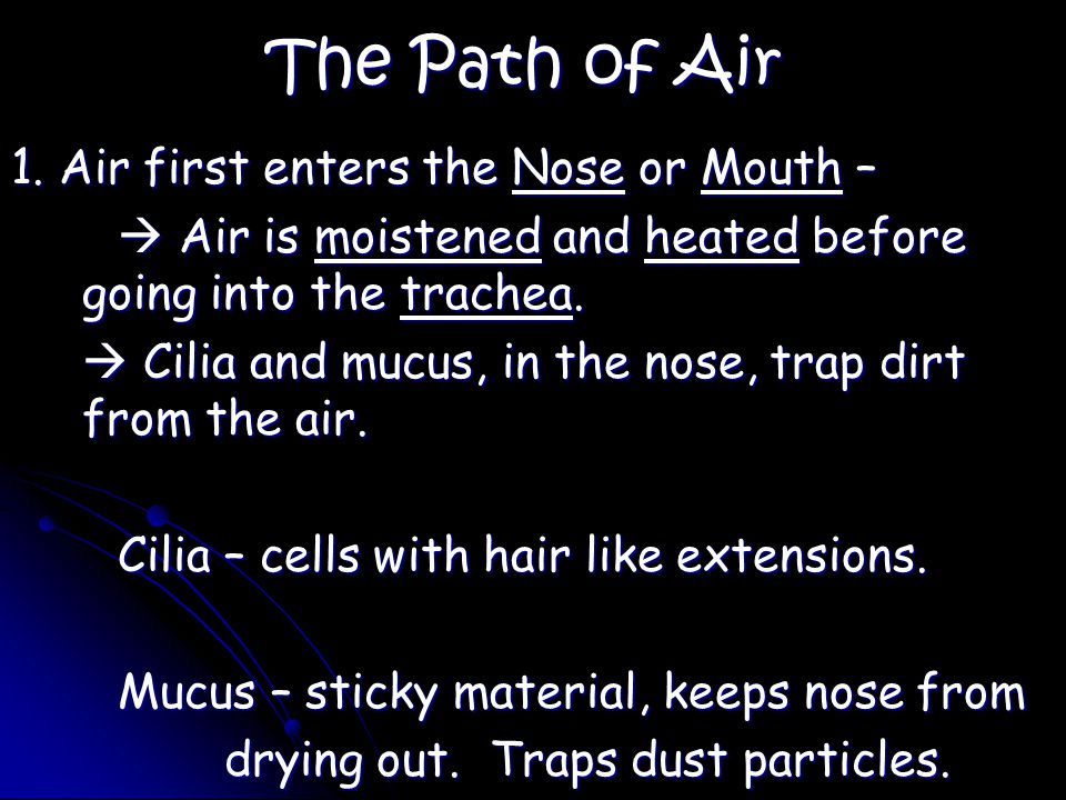 The Path of Air 1.