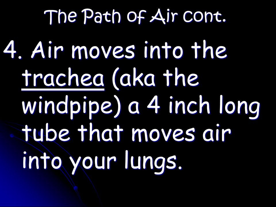 The Path of Air cont. 4.