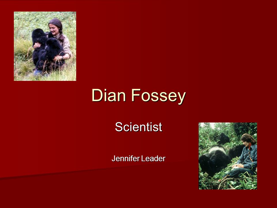 Dian Fossey Scientist Jennifer Leader