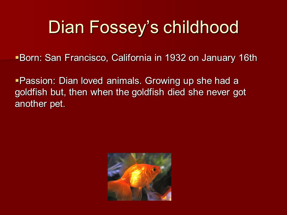 Dian Fossey’s childhood  Born: San Francisco, California in 1932 on January 16th  Passion: Dian loved animals.
