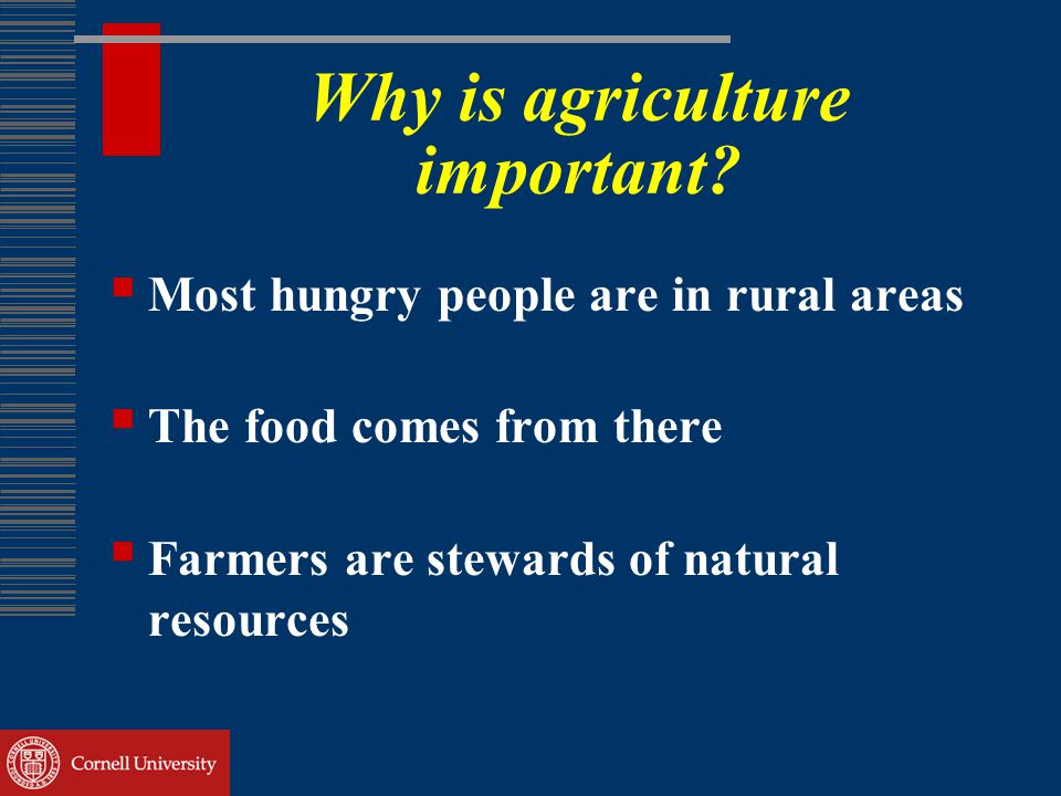 Why is agriculture important.