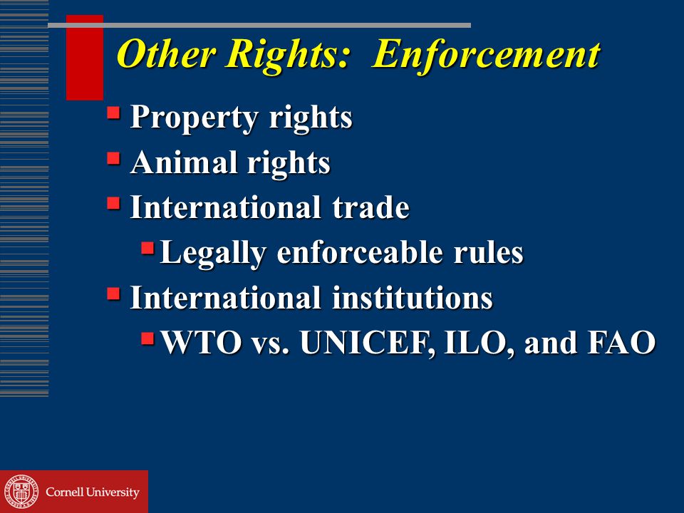 Other Rights: Enforcement  Property rights  Animal rights  International trade  Legally enforceable rules  International institutions  WTO vs.