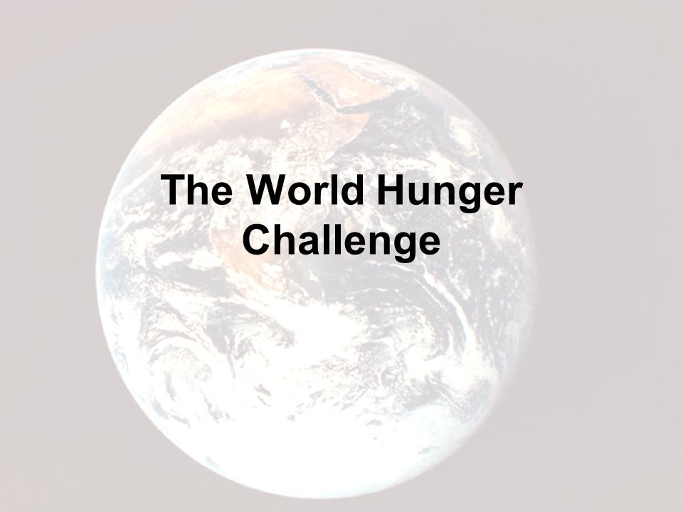 The World Hunger Challenge