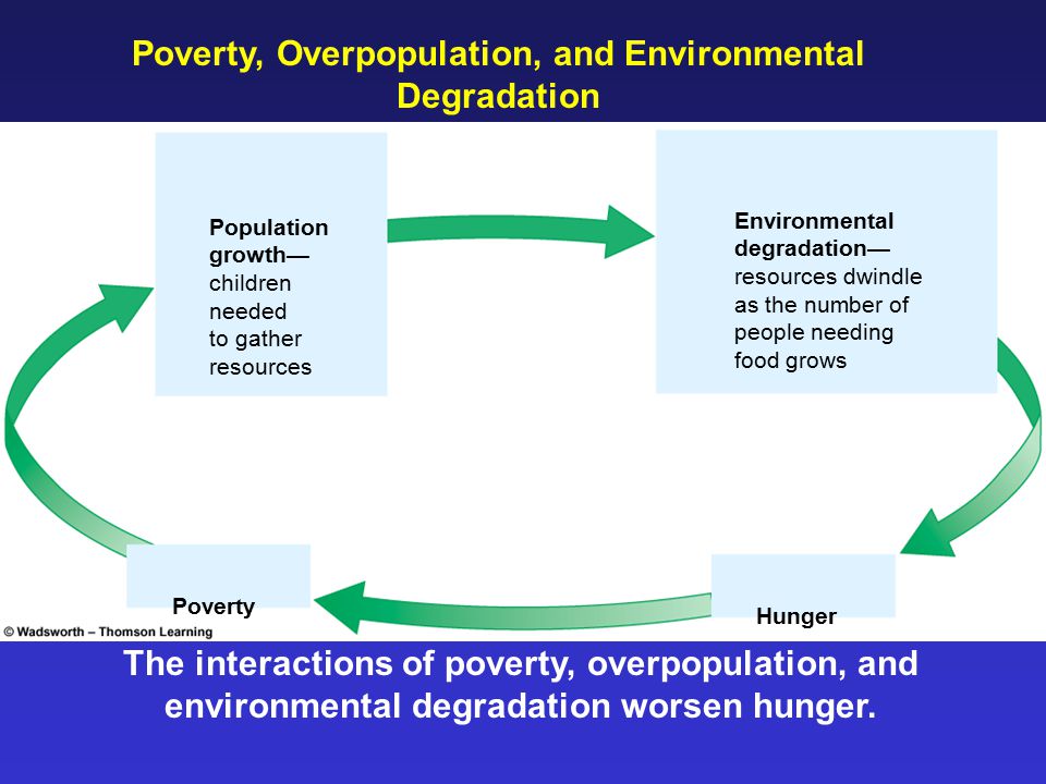 The Cycle… The Problem. Population growth leads to hunger and poverty.