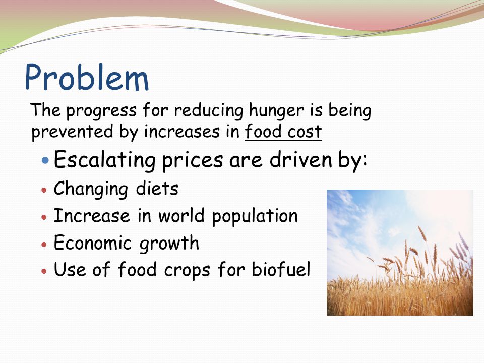 Problem The progress for reducing hunger is being prevented by increases in food cost Escalating prices are driven by: Changing diets Increase in world population Economic growth Use of food crops for biofuel