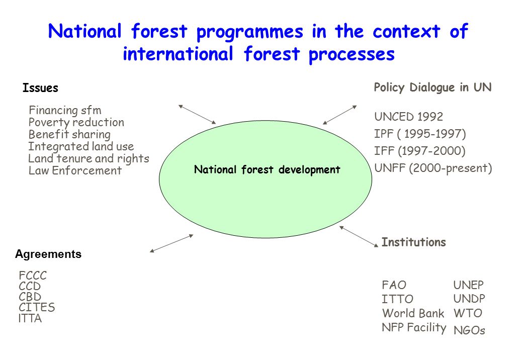 National forest development National forest programmes in the context of international forest processes Issues Financing sfm Poverty reduction Integrated land use Land tenure and rights Law Enforcement Benefit sharing FCCC CCD CBD CITES Agreements ITTA FAO ITTO World Bank NFP Facility UNEP UNDP WTO Institutions NGOs UNCED 1992 IPF ( ) IFF ( ) UNFF (2000-present) Policy Dialogue in UN