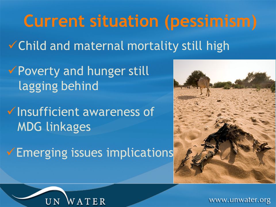 Current situation (pessimism) Child and maternal mortality still high Poverty and hunger still lagging behind Insufficient awareness of MDG linkages Emerging issues implications