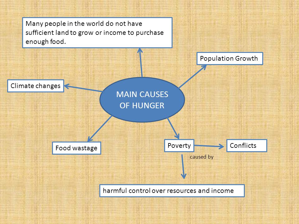 MAIN CAUSES OF HUNGER Many people in the world do not have sufficient land to grow or income to purchase enough food.