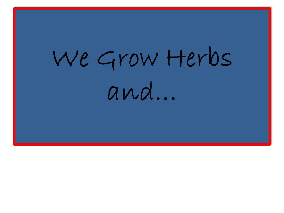 We Grow Herbs and…