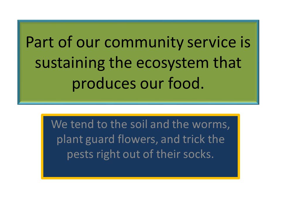 Part of our community service is sustaining the ecosystem that produces our food.