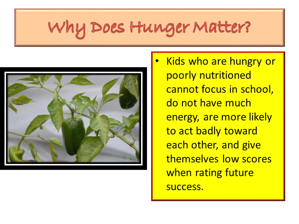 Kids who are hungry or poorly nutritioned cannot focus in school, do not have much energy, are more likely to act badly toward each other, and give themselves low scores when rating future success.