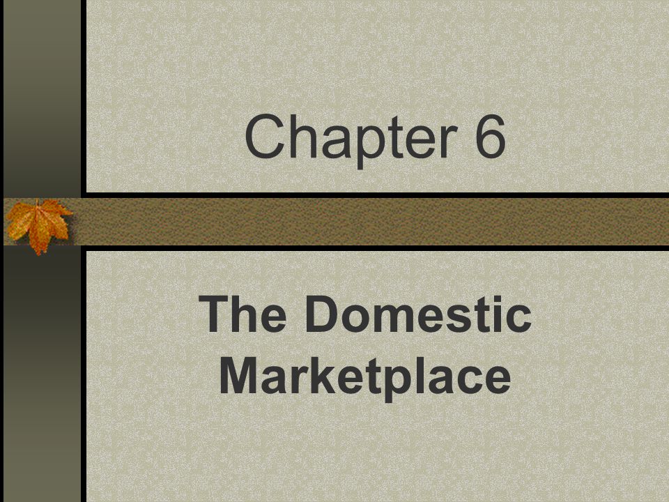 Chapter 6 The Domestic Marketplace