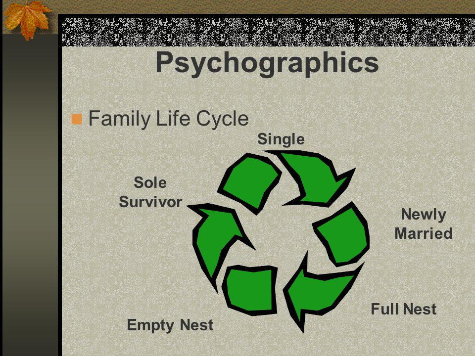Family Life Cycle Single Newly Married Full Nest Empty Nest Sole Survivor