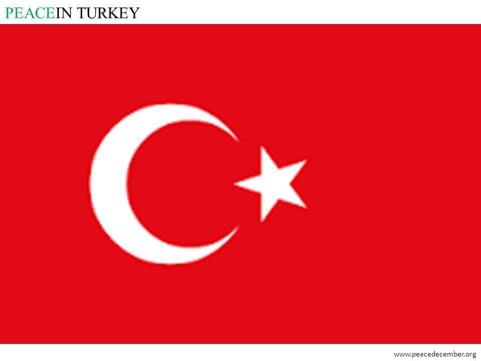 PEACEIN TURKEY